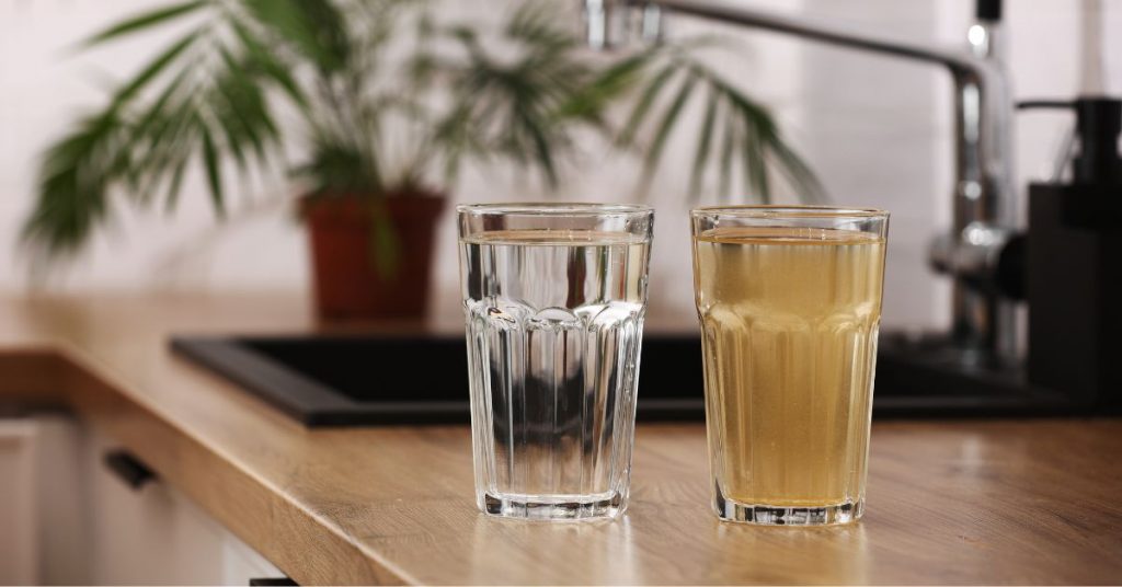 Processus filtration gourde filtrante