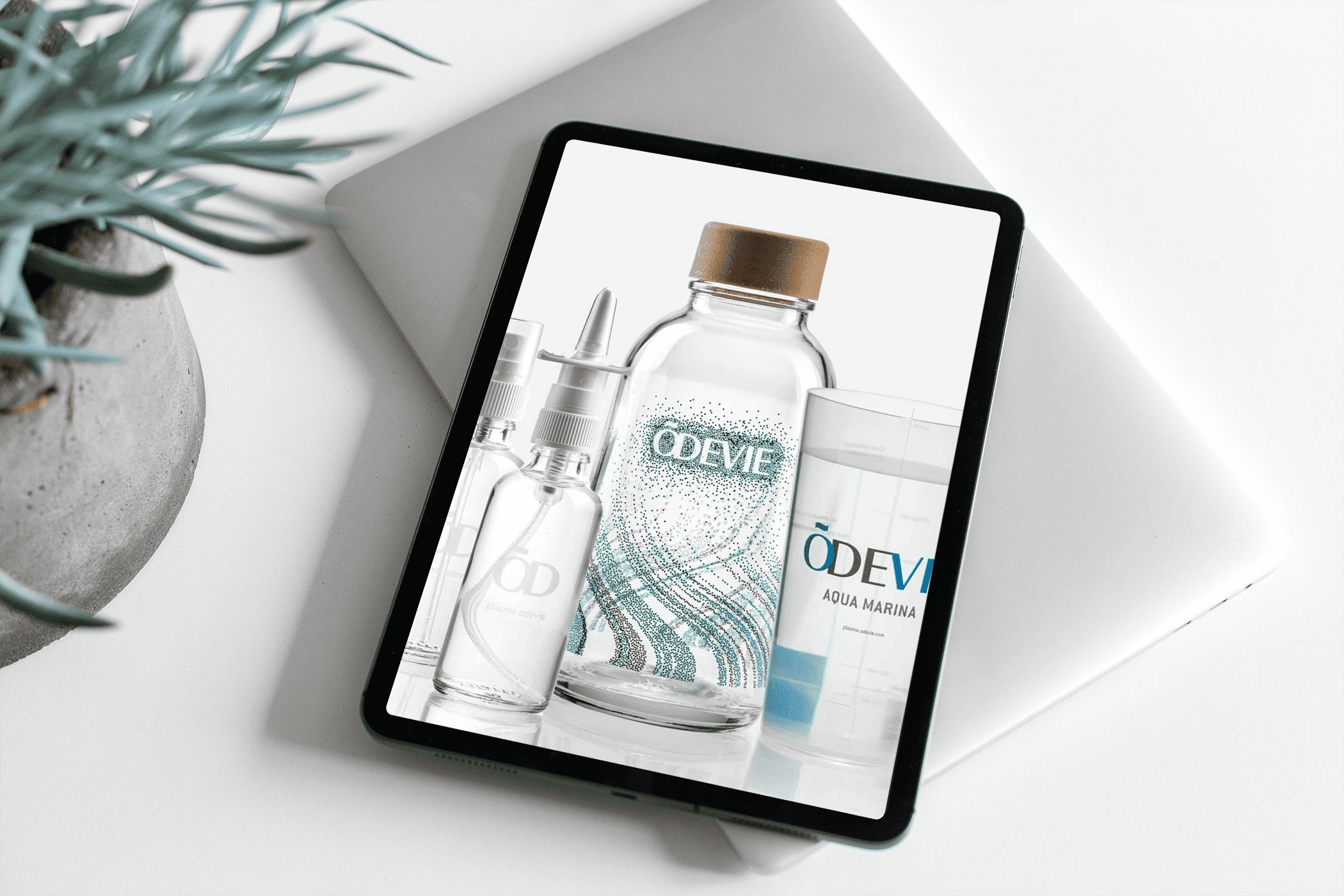 Odevie eau de quinton